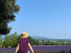 -富田农场