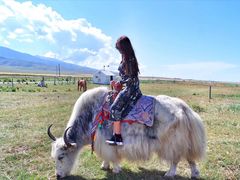 -青海湖国家重点风景名胜区