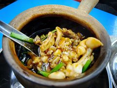 姜葱田鸡-明辉田鸡粥