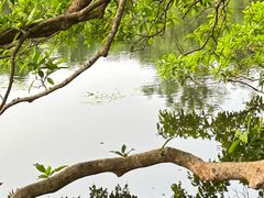 -海口观澜湖火山温泉谷