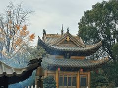 -上海东林寺(金山区)