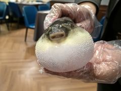 -肆月河豚·新淮扬(金融街店)