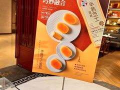-TOUCH泰奇(宝杨宝龙广场店)