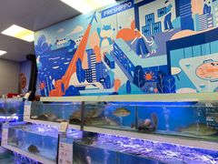 -盒马鲜生(大成店)