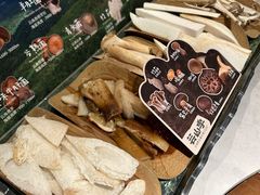 当季野生菌拼盘-芸山季·云南山珍菌火锅(人民广场来福士店)