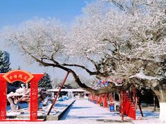 -北陵公园