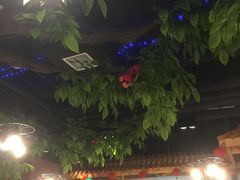-蕃茄述·好汤自然来(江汉路店)