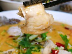 -金騰閣·经典粤菜(汾江中路店)