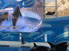 -上海海昌海洋公园