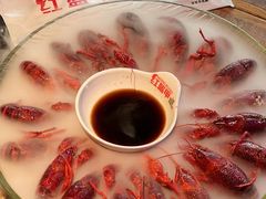-红盔甲·小龙虾(人民广场店)