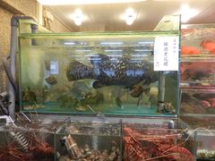 -南丫岛