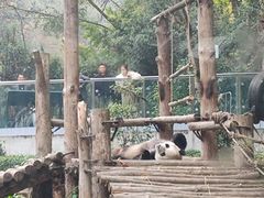 -黔灵山公园