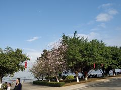 -南沙天后宫景区