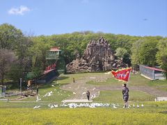 -哈尔滨北方森林动物园