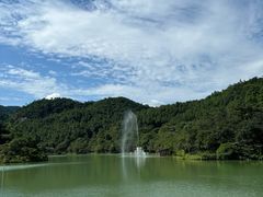 -广州白江湖森林公园