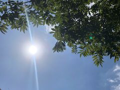 -贡湖湾湿地公园