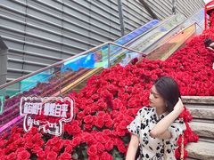 -万科生活广场(东莞松山湖店)