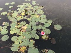 -溱湖八鲜菜馆