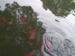 -汇龙潭