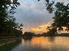 -伟记牛蹄(道滘店)