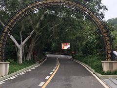 -大屏嶂森林公园