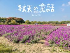 -上海杨姆庄园