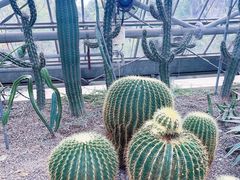 -南山植物园