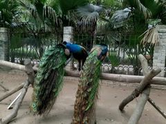 -荆州中山公园动物园