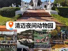 -清迈夜间动物园