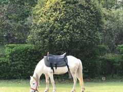 -合肥三国新城遗址公园