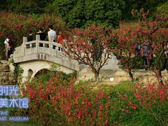 -南国桃园旅游度假区