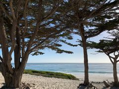 -卡梅尔海