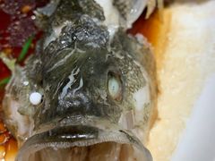 -紫光园·烤鸭·北京菜(劲松店)