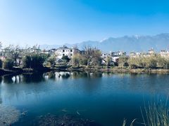 -才村湿地公园