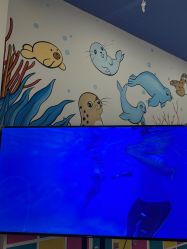 -海豹航航水育游泳中心(芳园里店)