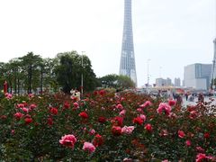 -海心沙亚运公园