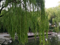-玲珑塔公园