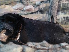 -北京动物园-畅观楼