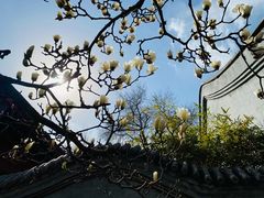 -北京石刻艺术博物馆(五塔寺)