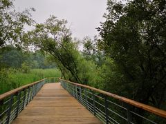 -西湖风景区-江洋畈生态公园