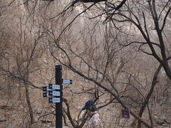 -龙洞风景区-藏龙涧