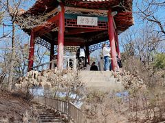 -棒棰岛宾馆景区