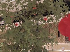 -德川家日本料理(顺义华联店)