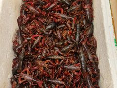 -岳各庄批发市场(西四环中路店)