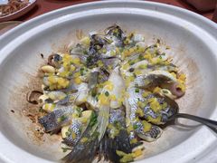 -船歌·鱼水饺青岛菜(闽江二路店)