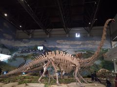 -自贡恐龙博物馆