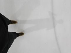 -世界之窗阿尔卑斯冰雪世界
