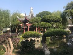 -檀园