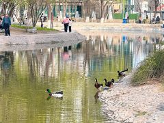 -丰台科技园生态主题公园
