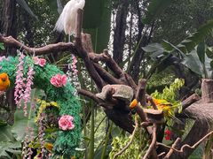 -广州长隆飞鸟乐园